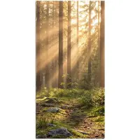 PosterMonkey Poster 80x160 cm - Bos - Zonlicht - Gras - Posters - Kamer decoratie - Wanddecoratie woonkamer - Muurdecoratie slaapkamer