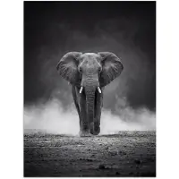 PosterMonkey Poster 90x120 cm - Olifant - Zwart - Wit - Rook - Posters - Kamer decoratie - Wanddecoratie woonkamer - Muurdecoratie slaapkamer