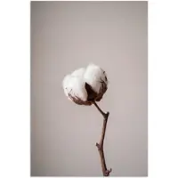 PosterMonkey Poster 20x30 cm - Katoenbol - Minimalistisch - Wit - Posters - Kamer decoratie - Wanddecoratie woonkamer - Muurdecoratie slaapkamer