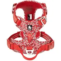TrueLove - Hondentuigje - Hondenharnas - Rood Bloemenpatroon - Reflecterend - Anti-Trek - Kleine tot Middelmatige Honden - Collectie 2025 - Rood - M