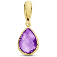 Marie-Celeste Hanger Amethyst - Goud