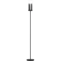 Eglo Zwarte Vloerlamp Toothill Met Smoke Glas