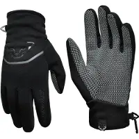 Dynafit Thermal Polarlite Handschoenen