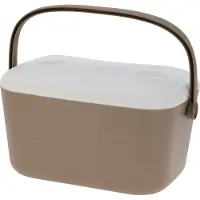 Cookinglife Koelbox Kunststof 20 Liter - Beige Koelbox voor Picknicks en Camping