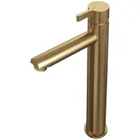 Brauer Gold Edition Verhoogde Opbouw Wastafelmengkraan Model E Goud Geborsteld PVD
