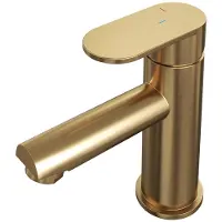 Brauer Gold Edition Lage Opbouw Wastafelmengkraan Model C Goud Geborsteld PVD