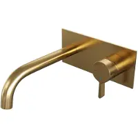 Brauer Gold Edition Inbouw Wastafelmengkraan met Gebogen Uitloop en Afdekplaat Model E1 Goud Geborsteld PVD
