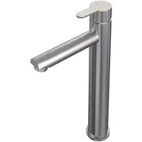 Brauer Brushed Edition Verhoogde Opbouw Wastafelmengkraan Model D RVS Geborsteld PVD