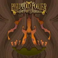Universal Music Super Furry Animals - Phantom Power (2 LP) (Remastered)