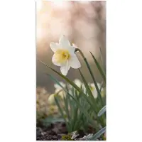 PosterMonkey Poster 80x160 cm - Narcis - Bloem - Minimalistisch - Posters - Kamer decoratie - Wanddecoratie woonkamer - Muurdecoratie slaapkamer