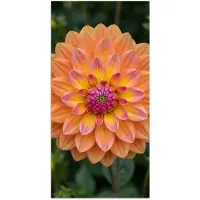 PosterMonkey Poster 75x150 cm - Dahlia - Bloem - Oranje - Posters - Kamer decoratie - Wanddecoratie woonkamer - Muurdecoratie slaapkamer