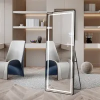 OKWISH Passpiegel Dimbaar 163 x 54 cm Aluminium en Glas Zwart Vrijstaand of Aan de Wand