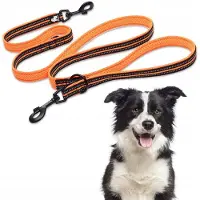 TrueLove Trainingsriem - Oranje - M - 200cm