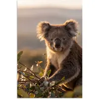 PosterMonkey Poster 60x90 cm - Koala - Bladeren - Ochtendlicht - Posters - Kamer decoratie - Wanddecoratie woonkamer - Muurdecoratie slaapkamer