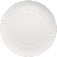 Papstar 100 Borden, karton pure rond Ø 34 cm · 3 cm wit