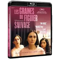 Pyramide Graines du figuier sauvage