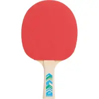 PRO TOUCH - pro 3000 - Tafeltennis bat - Zwart