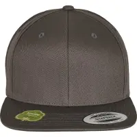 Flexfit Pet taupe / lichtgroen / zwart / wit