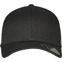 Flexfit Pet zwart