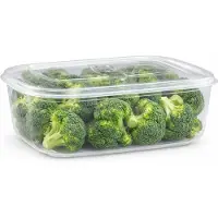 PlasticForte Vershoudbakje - vriezer en magnetron - 2,5L - kunststof - mealprep
