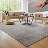 Paco Home Moderne woonkamer tapijt kortpolig wasbaar zacht uni effect bont antislip 160x220 cm