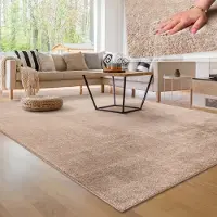 Paco Home Moderne woonkamer tapijt kortpolig wasbaar zacht uni effect bont antislip 160x220 cm
