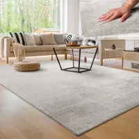 Paco Home Moderne woonkamer tapijt kortpolig wasbaar zacht uni effect bont antislip 240x340 cm