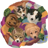 Sunsout puzzel Litter of Puppies - 750 stukjes dieren.