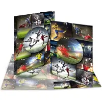 Herma Sammelmappe A4 Fussball Pappe