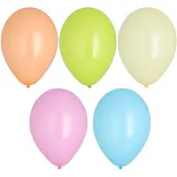 Papstar 12x 10 Ballonnen Ø 25 cm assorti kleuren Pastel