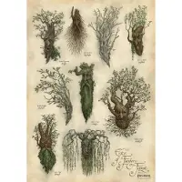 Weta Workshop Lord of the Rings Art Print Ent's of Fangorn Forest 59 x 30 cm