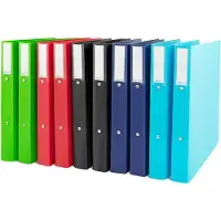 Rapesco - ECO GRS Ringbanden - A4 - 2-Rings - 38 mm - Gerecycled PP - Assorti - 10 Stuks - RP-1826