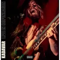 Heavy Psych Live in Copenhagen