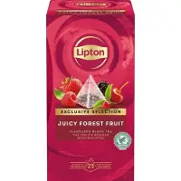 Lipton Bosvruchten Thee 25 Theezakjes