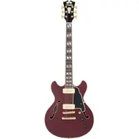 D'angelico Deluxe Mini DC Stopbar Trans Wine semi-akoestische gitaar met koffer