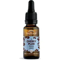Biofloral Bachbloesems 06 Kerspruim Bio 20 ml Druppels