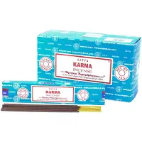 Ancient Wisdom Satya Wierook - Karma