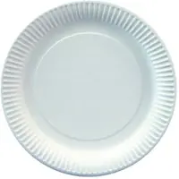 Starpak 15x 20 Borden karton rond Ø 23 cm wit