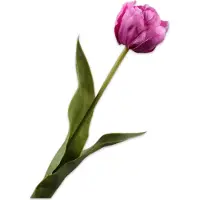 Silk-ka Kunstbloem-Zijden Bloemen Tulp Steel Paars 47 cm Per 2 Stuks