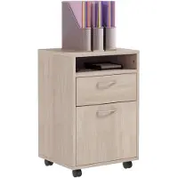 HOMCOM archiefkast - Spaanplaat - 40x35x60cm - Beige