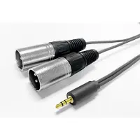 VivoLink 3,5MM KABEL NAAR 2 X XLR MAN 15M W127058198