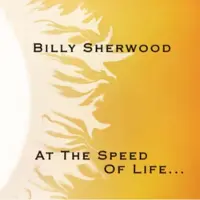 Cd At The Speed Of Life...