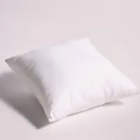 De Witte Lietaer Binnenkussen Pluche - Wit - 40 x 40 cm - Katoen