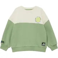s.Oliver Sweatshirt groen / grasgroen / wit