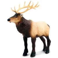 Safari Ltd Moose Figuur