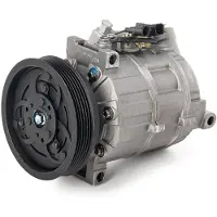 RIDEX 447K0480R Aircopomp