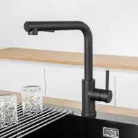 CECIPA MAX Uittrekbare Keukenkraan Zwart - 400 mm Bereik - 2 Straalstanden - 304 RVS - 50.000 Cycli