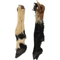 Flamingo NATURE SNACK SCHAAPSVOET MET HAAR 2ST
