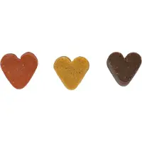 Flamingo TRAINING SNACK MINI HARTJES MIX 500G