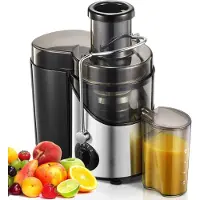 Core Sapcentrifuge voor Groenten & Fruit - Juicer met microfilter - Slowjuicer met Grote Vulopening - Zilver - 30cm x 20cm x 18cm